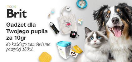 Gadżet za 10 groszy przy zakupach za 150zł 