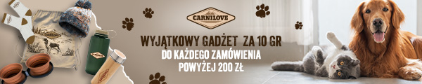 Gadżet za 10 groszy za zakupy powyżej 200zł