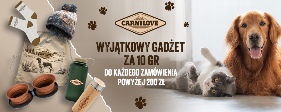 Baner informacyjny o promocji. Wyjątkowy gadżet za 10 groszy do każdego zamówienia powyżej 200zł