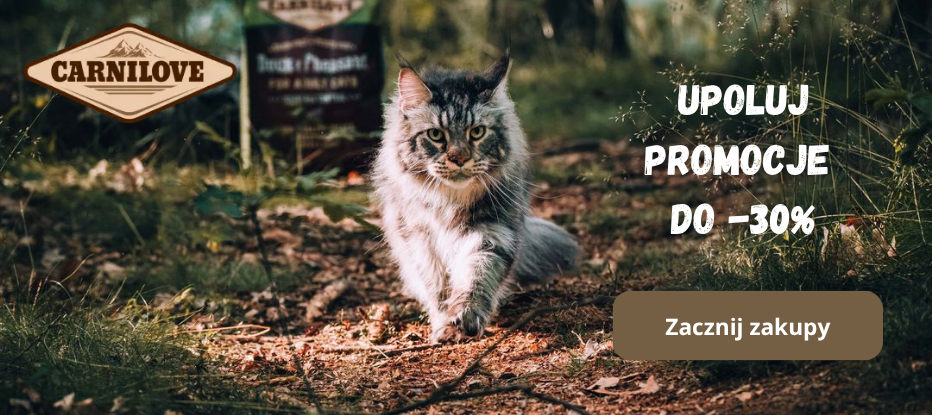 Upoluj promocje do -30%