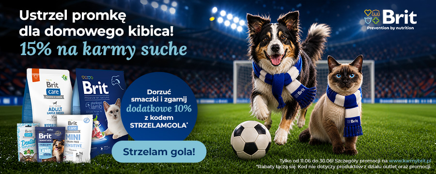 Ustrzel promocję dla domowego kibica. -15% na karmy suche, a po dodaniu przysmak&oacute;w i wpisaniu kodu STRZELAMGOLA dodatkowe -10% na całe zakupy. (Z wyłączeniem kategorii promocje i outlet)