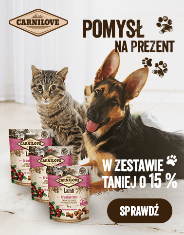 Baner informacyjny o promocjach. Kliknij, aby przekierować. Pomysł na prezent. W zestawie taniej o 15% Sprawdź.