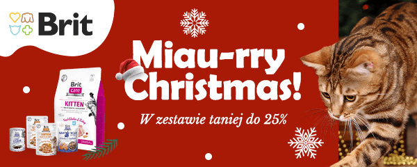 Baner informacyjny o promocjach. Kliknij, aby przekierować. Miau-ryy Christmas! W zestawie taniej do 25%
