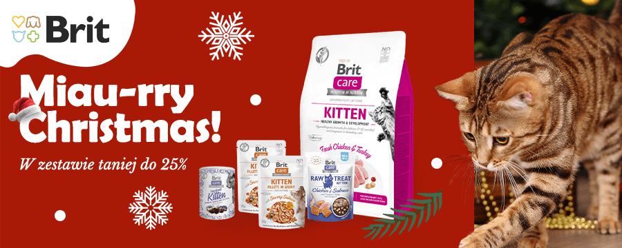 Baner informacyjny o promocjach. Kliknij, aby przekierować. Miau-ryy Christmas! W zestawie taniej do 25%