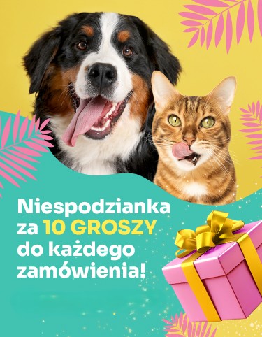 Baner informacyjny Niespodzianka za 10 groszy do każdego zamówienia. Dodaj na stronie koszyka.