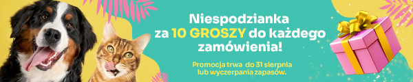 Niespodzianka za 10 groszy do każdego zamówienia. Dodaj produkt w koszyku