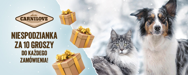 Niespodzianka za 10 groszy do każdego zam&oacute;wienia. Dodaj na stronie koszyka.