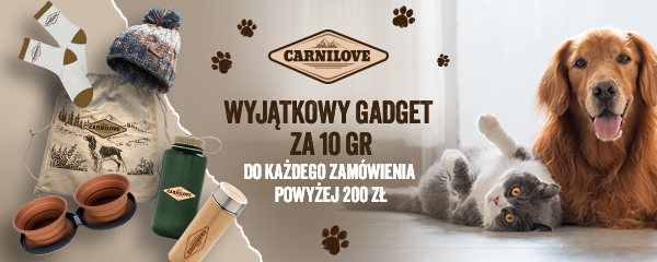 Gadżet za 10 groszy za zakupy powyżej 200zł