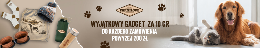 Wyjątkowy gadżet za 10 groszy do każdego zam&oacute;wienia powyżej 200zł