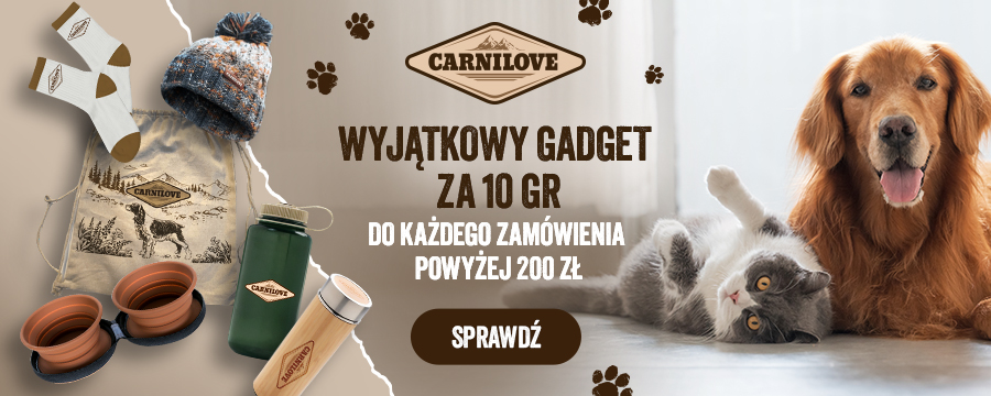 Wyjątkowy gadżet za 10 groszy do każdego zam&oacute;wienia powyżej 200zł