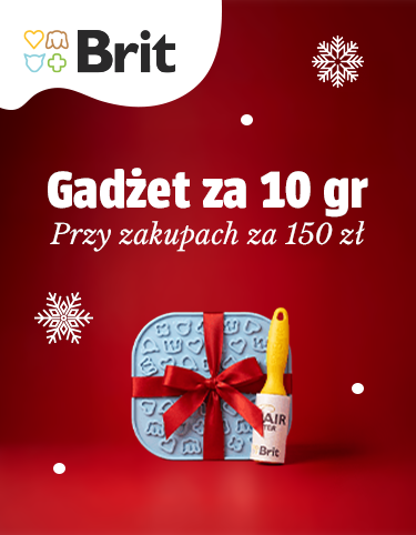 Baner informacyjny Niespodzianka za 10 groszy do zamówień powyżej 150zł. Dodaj na stronie koszyka.